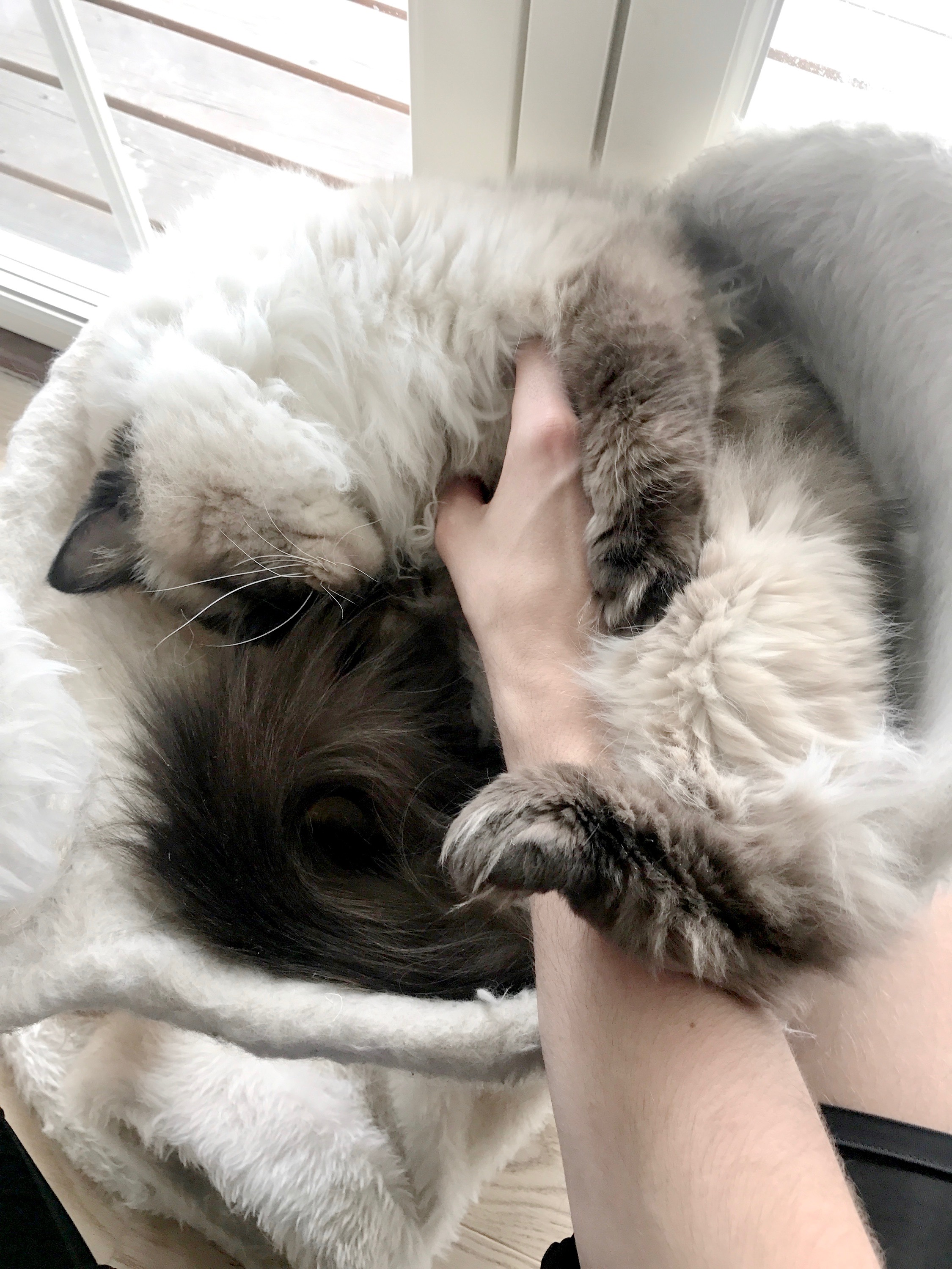 51610472886__33FF52F2-5696-46C9-A2D8-7825DD4CE950